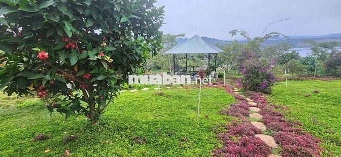 nhà biệt thự vườn 6.000m2 rất đẹp ven đà lạt