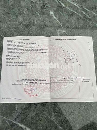 Đất để phân lô mặt tiền đường lớn nhất Long Tân
