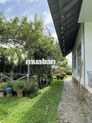 Gấp, Biệtthự đẹp mặt tiền ĐốngĐa,đồi Robinson view triệu đô,chính chủ