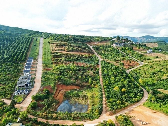 Đất nền săn mây cực đẹp tại xã Nam Ban (Mê Linh), sẵn sổ, sẵn thổ cư