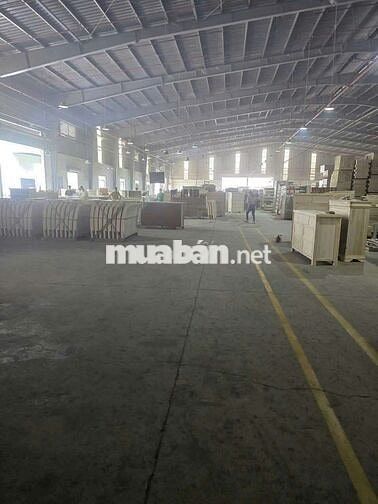 Cho thuê xưởng 8800m2 tại Bắc Tân Uyên Bình Dương