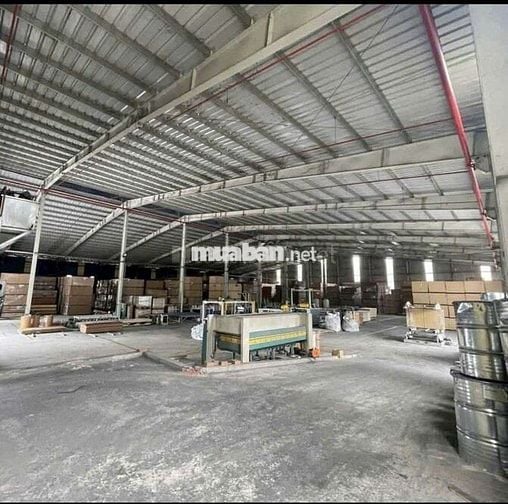Cho thuê xưởng 8800m2 tại Bắc Tân Uyên Bình Dương