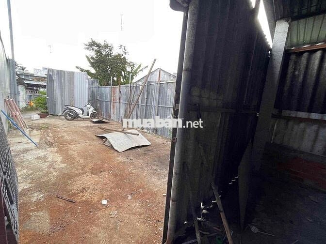 BÁN NEN HẺM NHÁNH 115 BÌNH THỦY