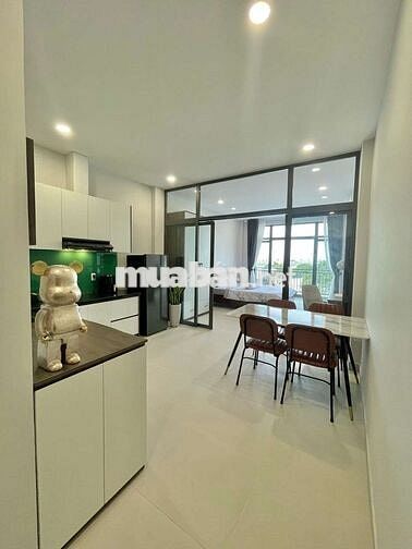 CĂN HỘ STUDIO - 1PN NGAY SÂN BAY, CÔNG VIÊN GIA ĐỊNH, P2, TÂN BÌNH