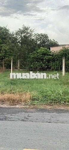 Đất mặt tiền Trần Thị Bàu - Củ Chi