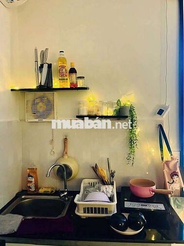 ✅️Phòng Trọ Xinh Xinh 20m2_Full Nội Thất_Cửa Sổ_Gần Satra Exinland
