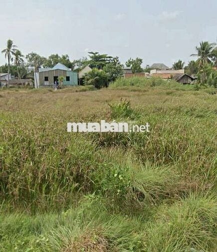 Đất dư nên bán 126m2 877tr Đ Tân Long xã Tân Nhựt Bình Chánh