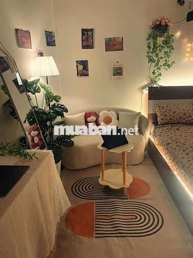 ✅️Phòng Trọ Xinh Xinh 20m2_Full Nội Thất_Cửa Sổ_Gần Satra Exinland