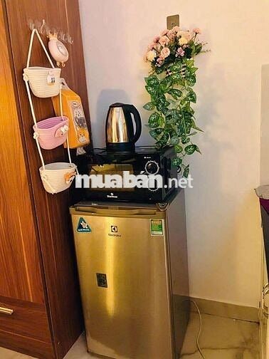 ✅️Phòng Trọ Xinh Xinh 20m2_Full Nội Thất_Cửa Sổ_Gần Satra Exinland