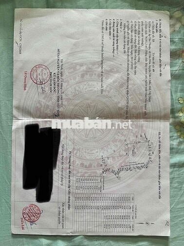🔥 7,6 mẫu  (76,141m2) - Gò Đất Cao hơn 2,3m-Tân Châu , Tây Ninh