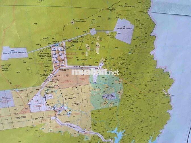 🔥 7,6 mẫu  (76,141m2) - Gò Đất Cao hơn 2,3m-Tân Châu , Tây Ninh
