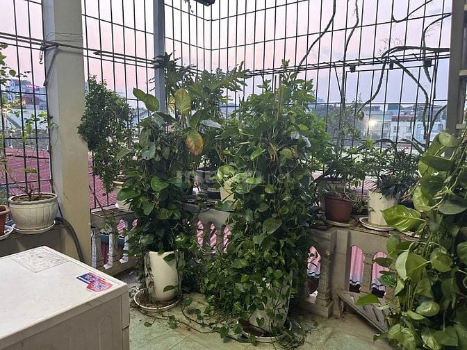Cho thuê nhà 3 tầng ngõ 1 Phúc Tân Hoàn Kiếm Hà Nội