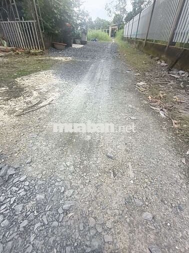 Bán gấp lô đất 5x46m cách chợ Hưng Long 300m . Giá chỉ 3tỉ 150 triệu