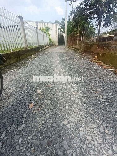 Bán gấp lô đất 5x46m cách chợ Hưng Long 300m . Giá chỉ 3tỉ 150 triệu