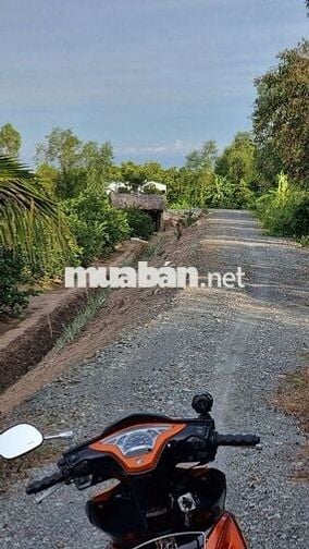 1099mv ĐẤT VƯỜN ĐƯỜNG ÔTÔ, CÓ SẴN CÂY TRÁI ,TÂN THÀNH THỦ THỪA