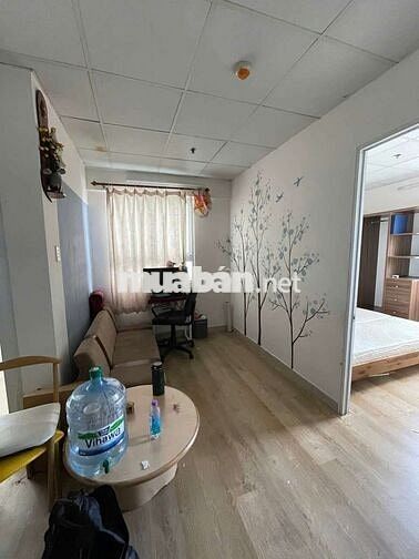 Thang máy nhà ở xã hội Việt sing: 660 triệu. Toàn quốc mua được