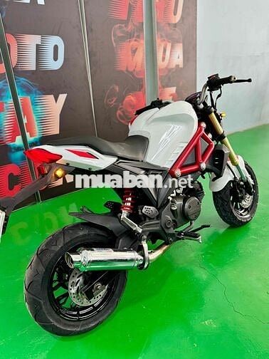 Ducati mini xe hiếm mới về, xe đẹp liền lạc , re