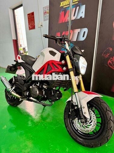 Ducati mini xe hiếm mới về, xe đẹp liền lạc , re