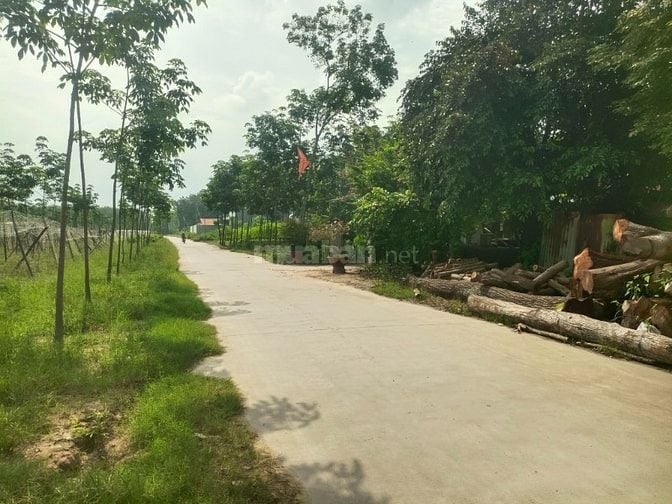 ĐẤT NỀN CHÁNH PHÚ HOÀ GẦN CHỢ CHÁNH LƯU THÀNH PHỐ BẾN CÁT BÌNH DƯƠNG