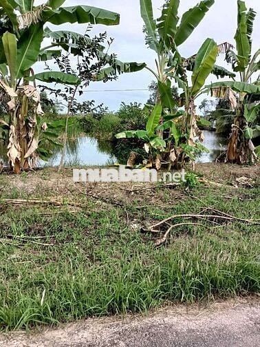Bán gấp đất nền giá rẻ 150 triệu bao tranh chấp