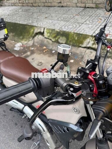 Yamaha Pg1 2024