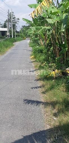 Bán đất thổ cư giấy tờ sổ hồng hợp lệ