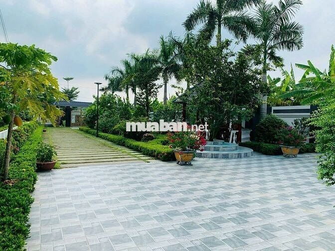 Anh ba bán căn nhà mặt phố khu Tái Định Cư ĐP