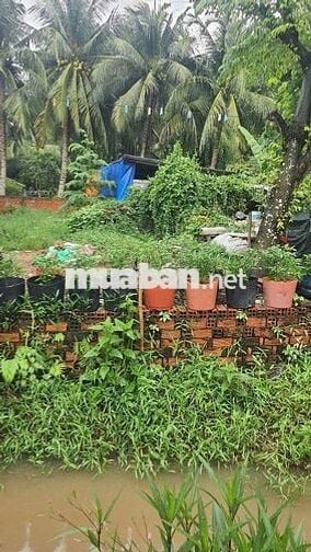 Bán đất nền diện tích 5*21 giá dưới 800 triệu