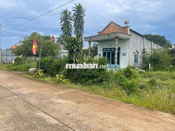 Cần bán lô đất gần UBND An Thái, cách trục đường chính DH507 tầm 200m