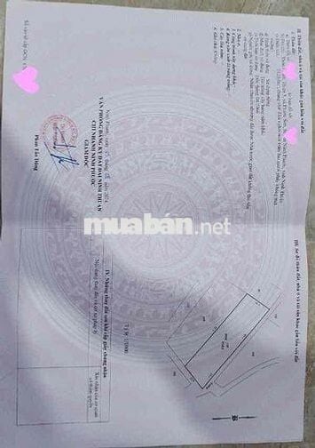 đất thổ vườn khu dân cư siêu rẻ