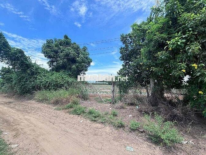 đất thổ vườn khu dân cư siêu rẻ