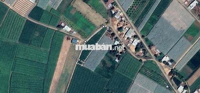 đất thổ vườn khu dân cư siêu rẻ