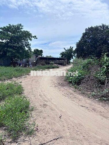 đất thổ vườn khu dân cư siêu rẻ