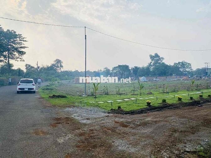 ĐẤT MẶT TIỀN ĐƯỜNG CHỐN MỸ , XUÂN TÂM HUYỆN CẨM MỸ ĐỒNG NAI