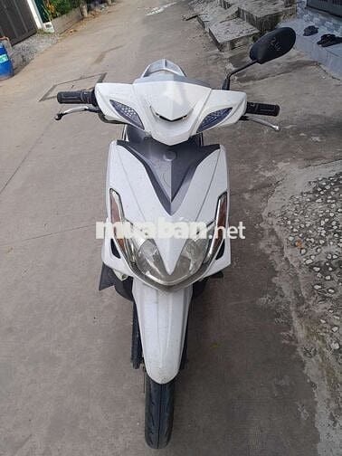 Xe tay ga  Fi cà vẹt đầy đủ