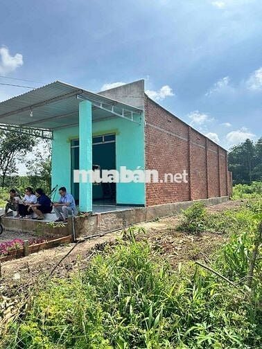 Ngộp đất tặng nhà cấp 4 mới xây được vài tháng