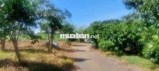 Đất thôn 2 Tân Lạc sẵn thổ cư giá cực ngộp
