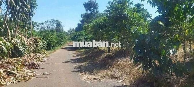 Đất thôn 2 Tân Lạc sẵn thổ cư giá cực ngộp