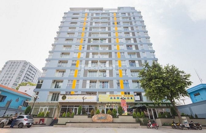 Cho thuê CH Carillon 3 – 1PN, 50m², full NT – Giá chỉ từ 11tr