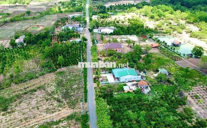 ĐẤT ĐƯỜNG NHỰA QUY HOẠCH RỘNG CÓ THỔ CƯ
