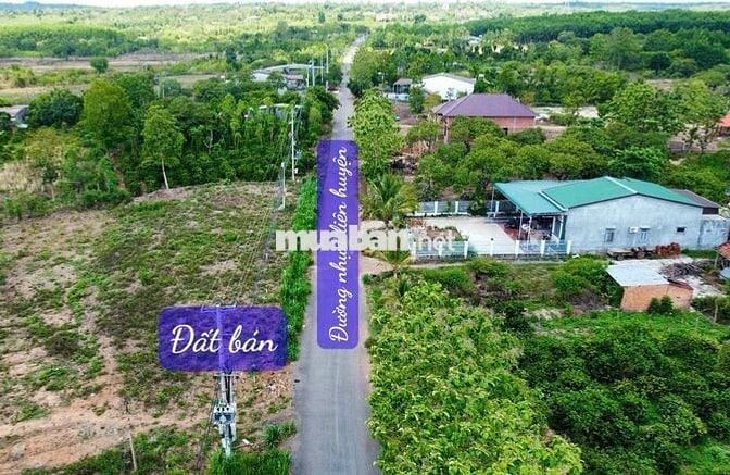 ĐẤT ĐƯỜNG NHỰA QUY HOẠCH RỘNG CÓ THỔ CƯ