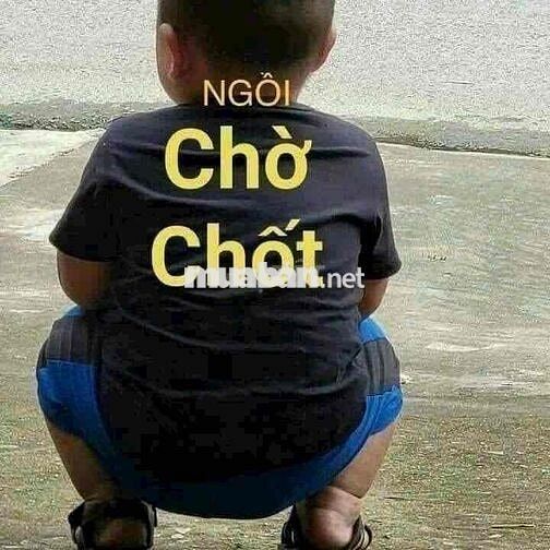 ❎❎CHỦ NHỜ BÁN LÔ ĐẤT ĐẤU GIÁ X1 SƠN DU – 🌹KHU VỰC VÍP NHẤT 👉 TẠI THÔN