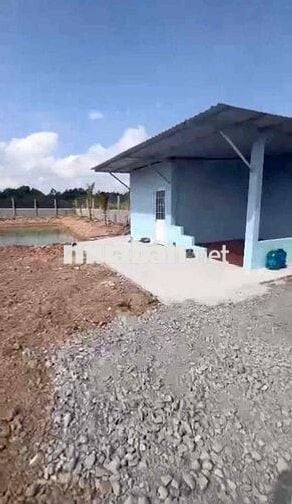 Căn nhà vườn đẹp 1260M2 có sẵn 200m2 thổ cư. giá quá chi là rẻ