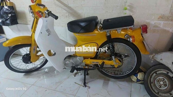 honda cup