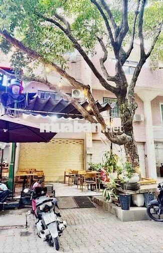 Cho Thuê Mặt Bằng Đường Lý Thường Kiệt, Quận 11 ( MB Siêu Rộng )