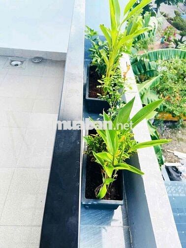 Sân Đậu Ôtô - 3PN toilet riêng - Full NT - Liên Chiểu