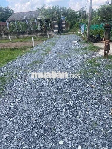 Bán Đất Giáp Thi Trấn Đức Hoà, Cách SG 15Km. Sổ Sẵn Cầm Tay