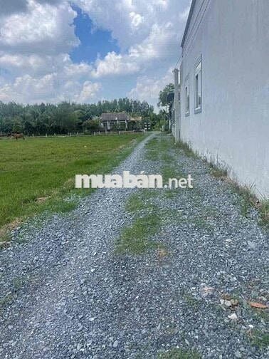 Bán Đất Giáp Thi Trấn Đức Hoà, Cách SG 15Km. Sổ Sẵn Cầm Tay