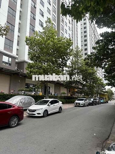 Quá Hiếm - P6,Quận 8 - 50m2 - 4 phòng - Hiện Hữu - chỉ hơn 4ty