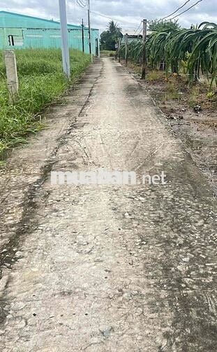 Ban 5x42 m thồ cư  đường đan thông thoáng gần công ty may Đại Lục